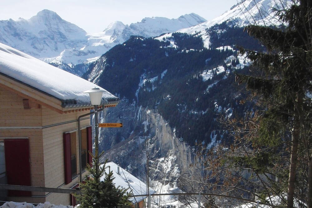 Chalet «Mönch» - Hotel Silberhorn**** Wengen