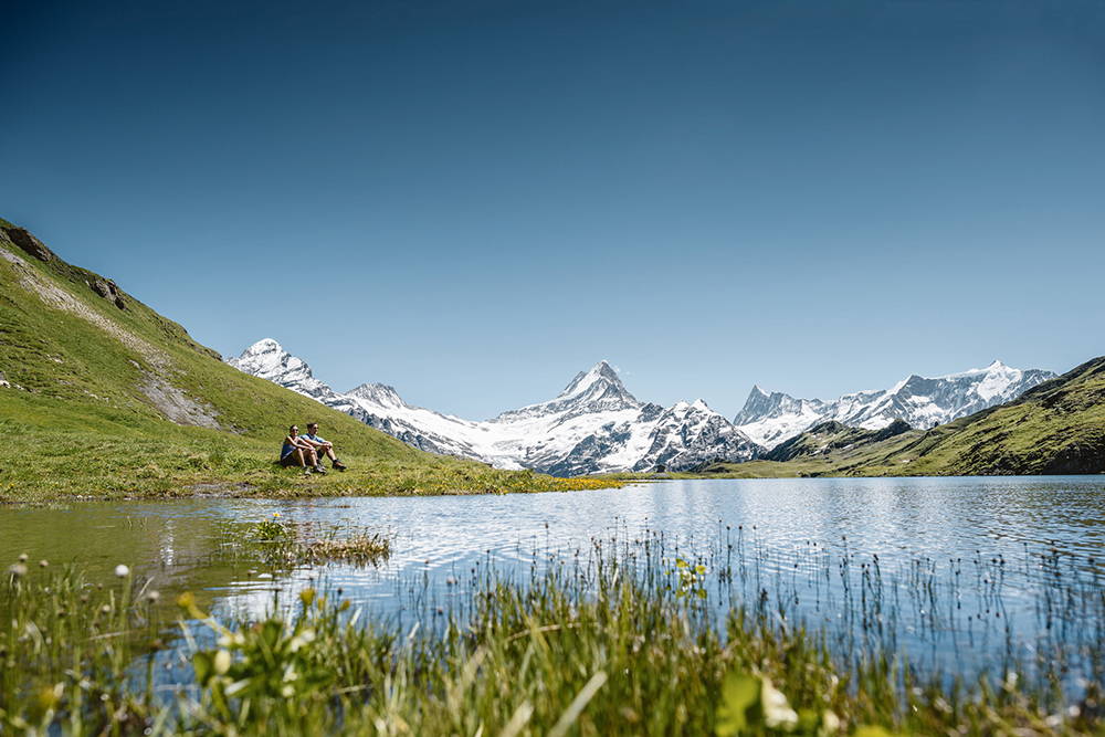 Wengen - région de la Jungfrau été