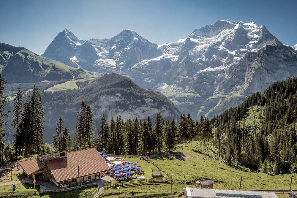 Wengen - région de la Jungfrau été