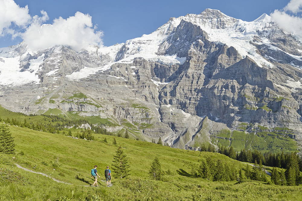 Wengen - région de la Jungfrau été